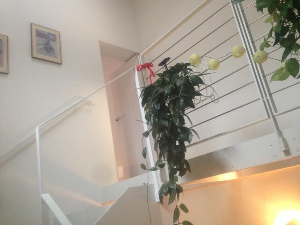 La Casina Διαμέρισμα Πάρμα Εξωτερικό φωτογραφία